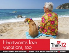 Heartworm-Love-Vacations-3-5c923d6ab3